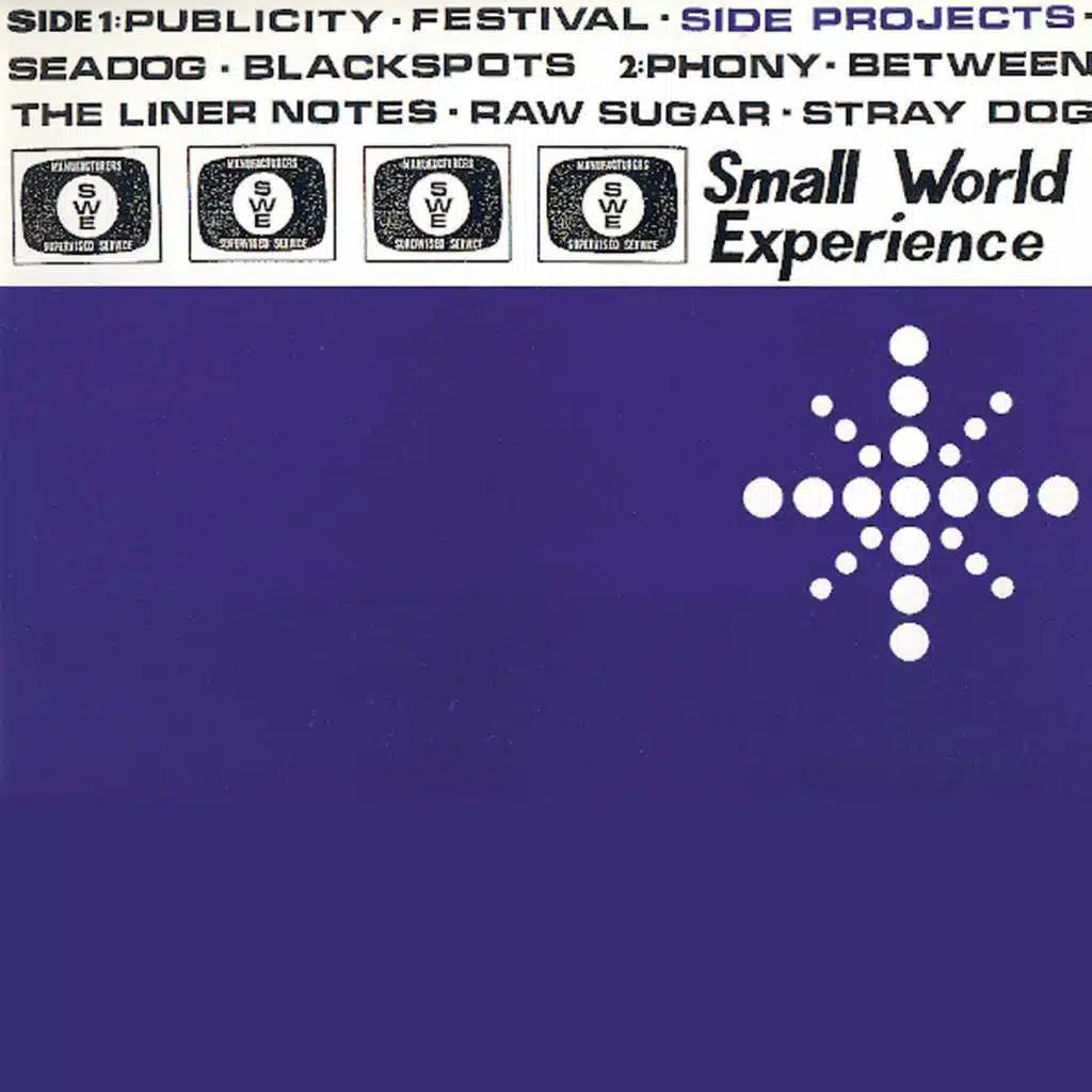Small World Experience