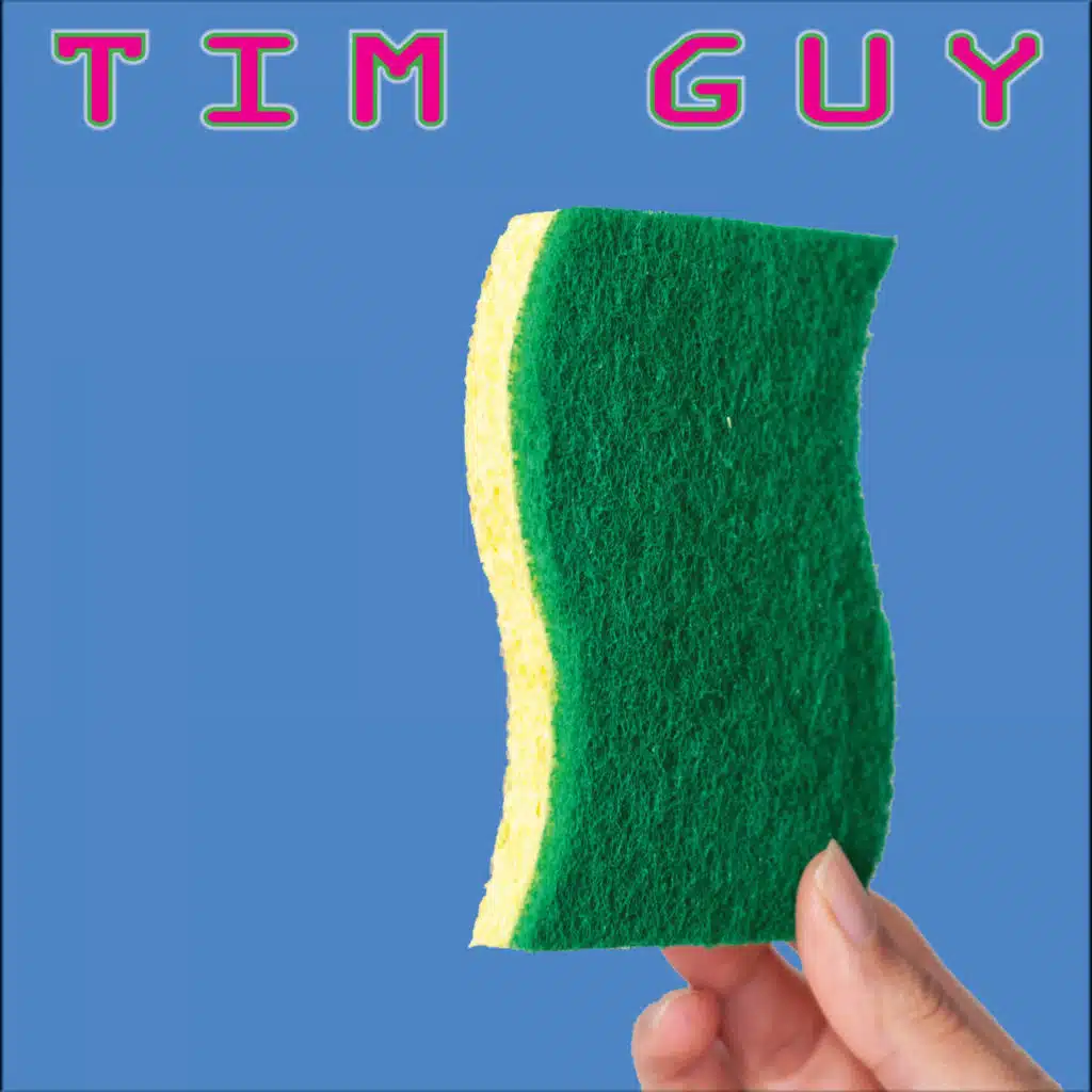 Dish Sponge
