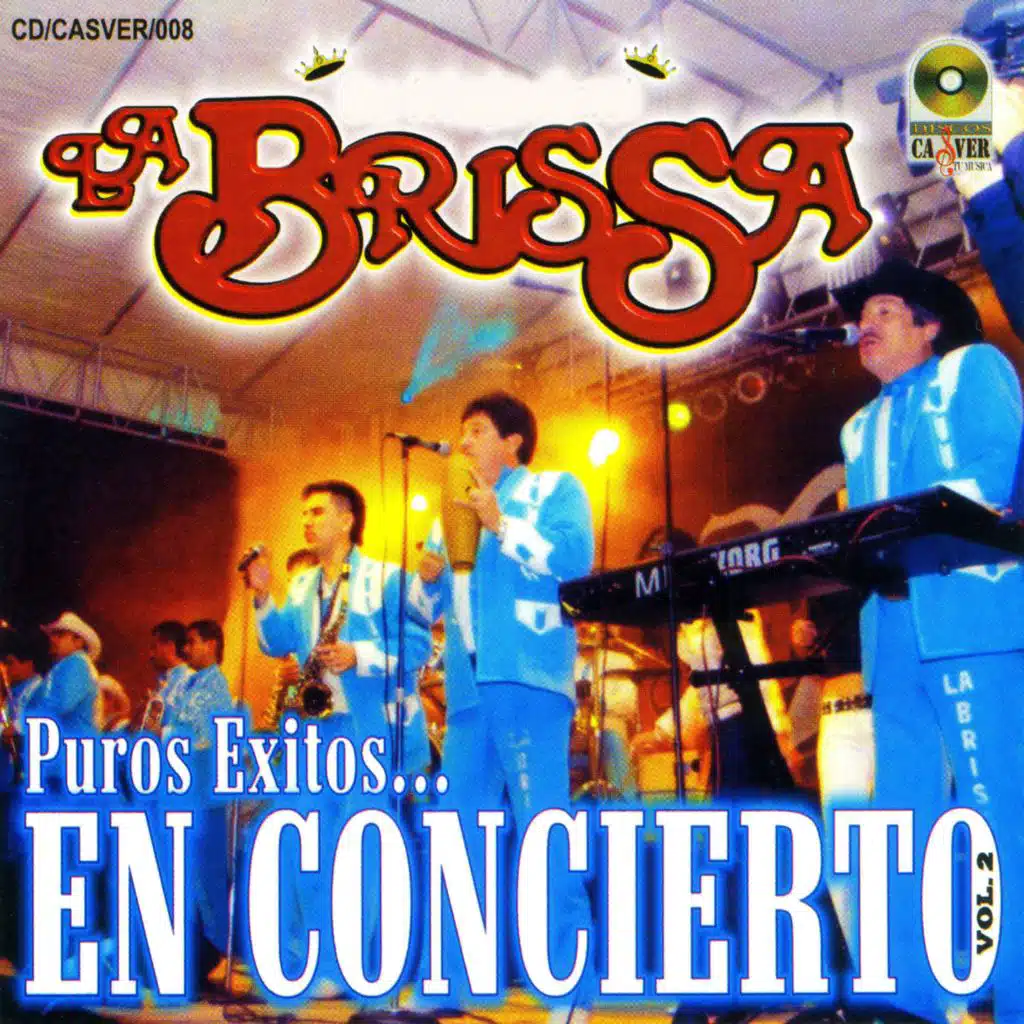Puros Exitos en Concierto, Vol. 2