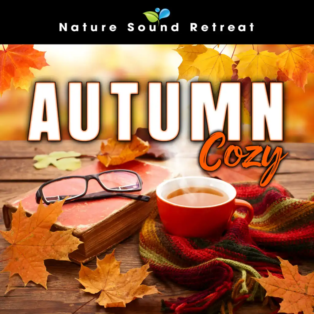 Autumn Classical Piano Music and Nature: Gymnopedie with Rain Sounds and Crackling Fireplace