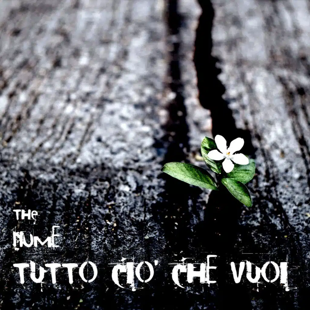 The Nume