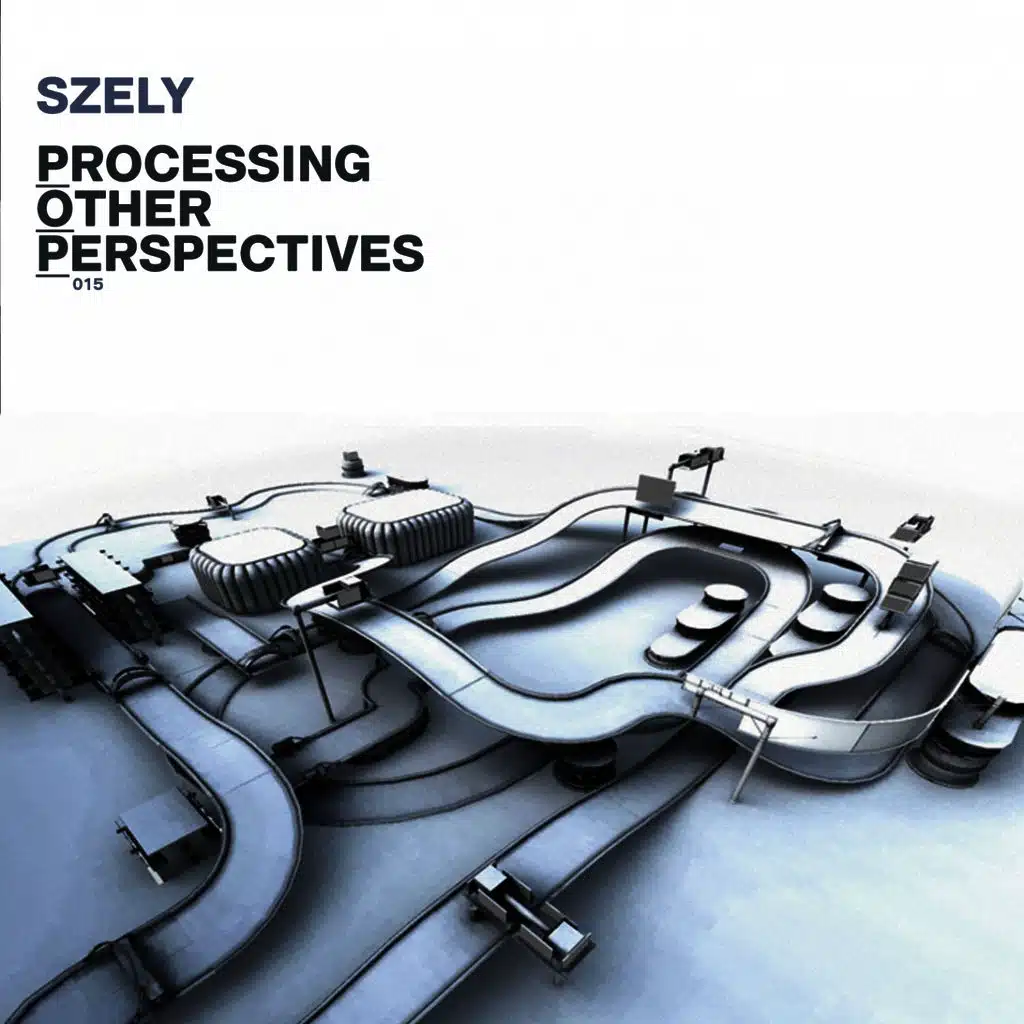 Processing Other Perspectives