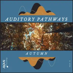 Auditory Pathways