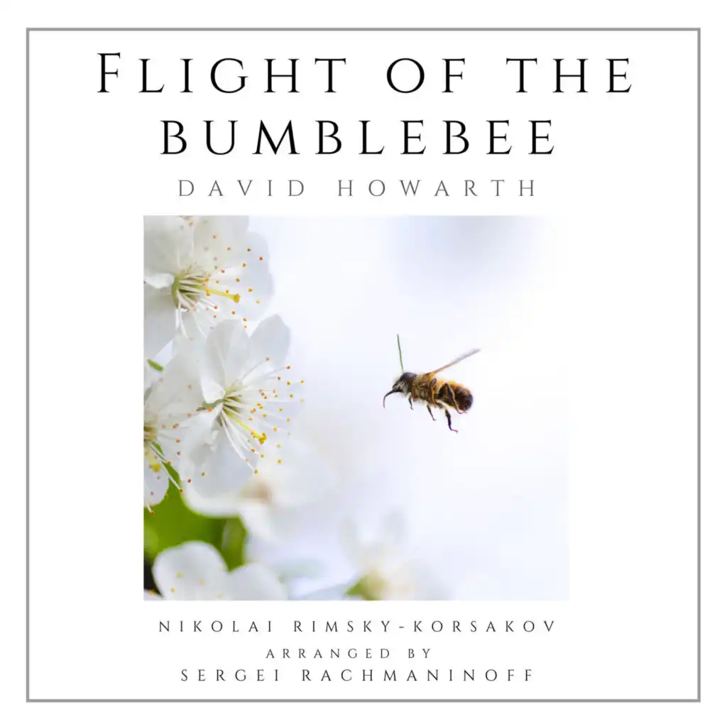 Flight of the Bumblebee (Solo Piano)
