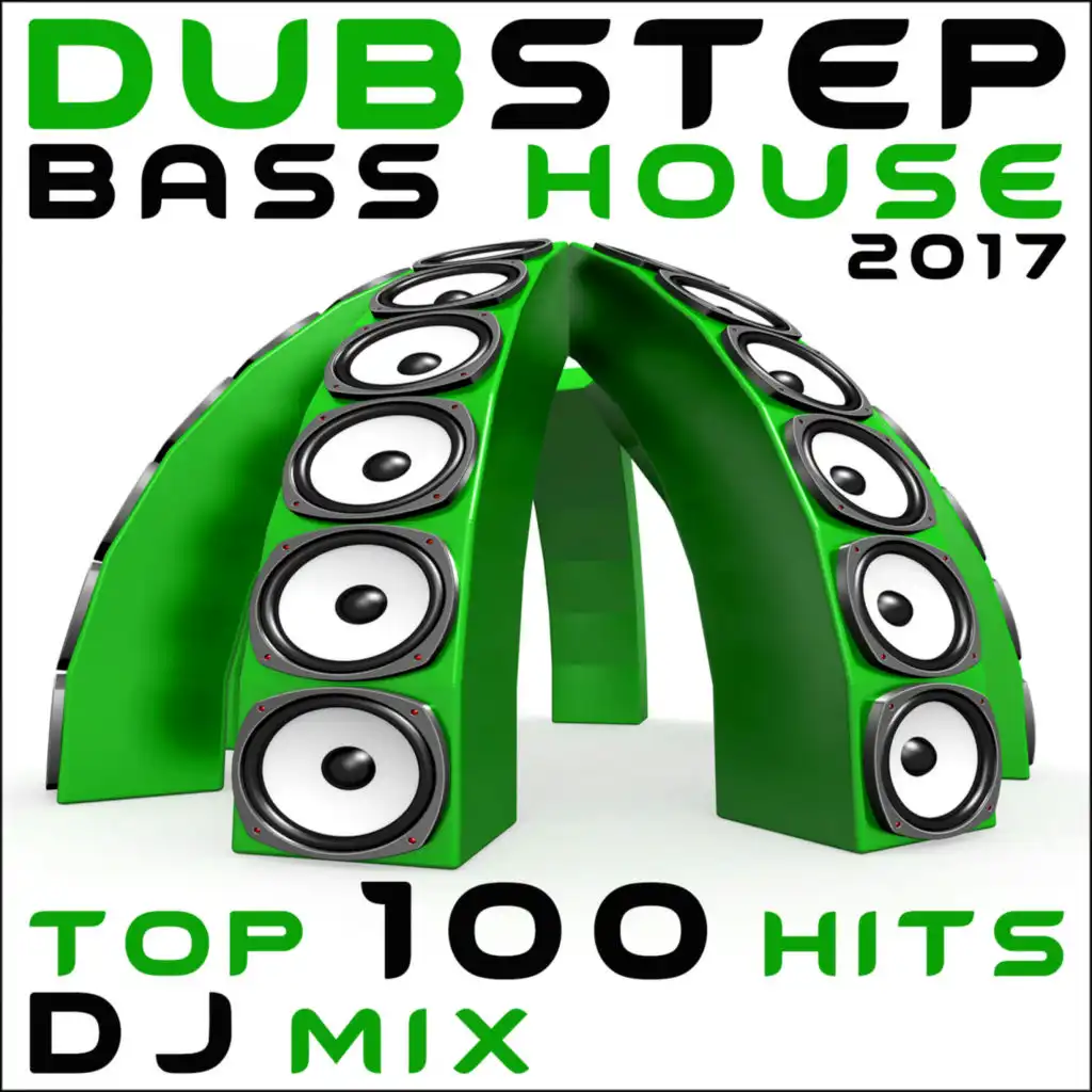 Cheese It (Dubstep Bass House 2017 DJ Mix Edit)