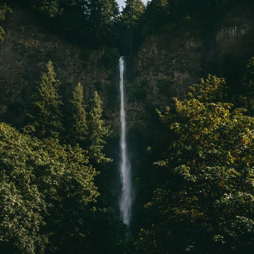 mi amor (feat. Guccihighwaters)