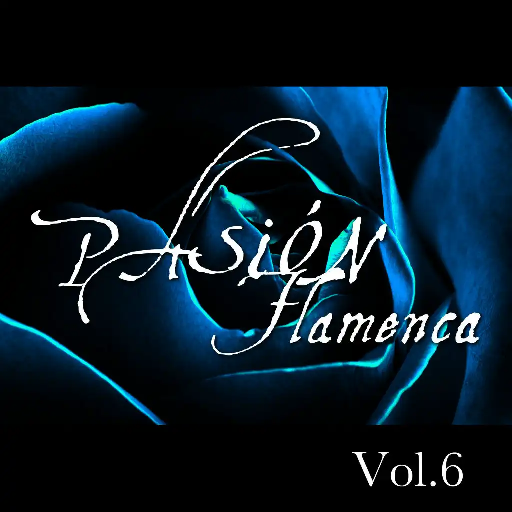 Pasión Flamenca Vol.6