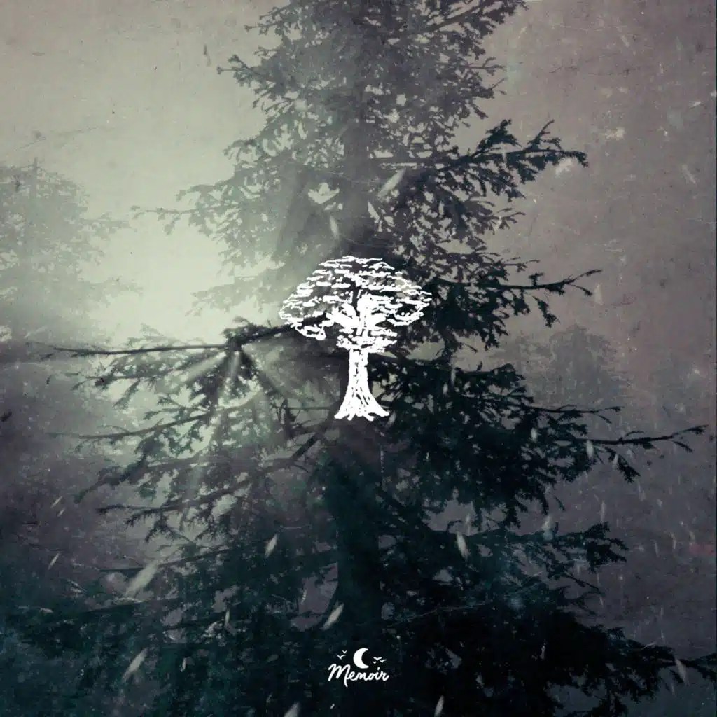 The Field Tapes, azula