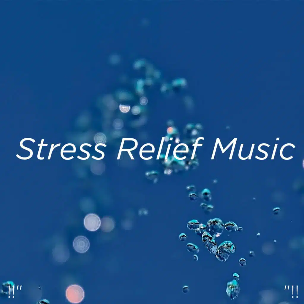 Intense Focus Binaural Beats