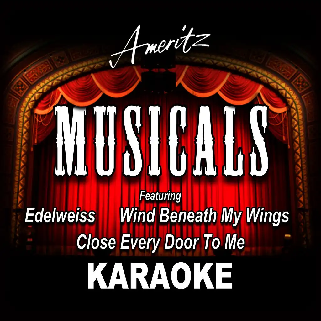 Karaoke - Musicals Vol. 1