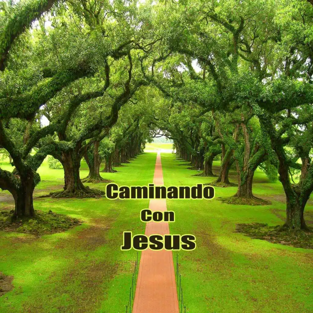 Caminando Con Jesus