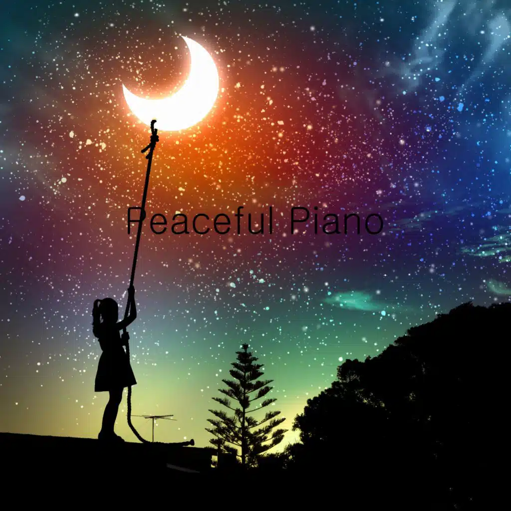 Night Fall