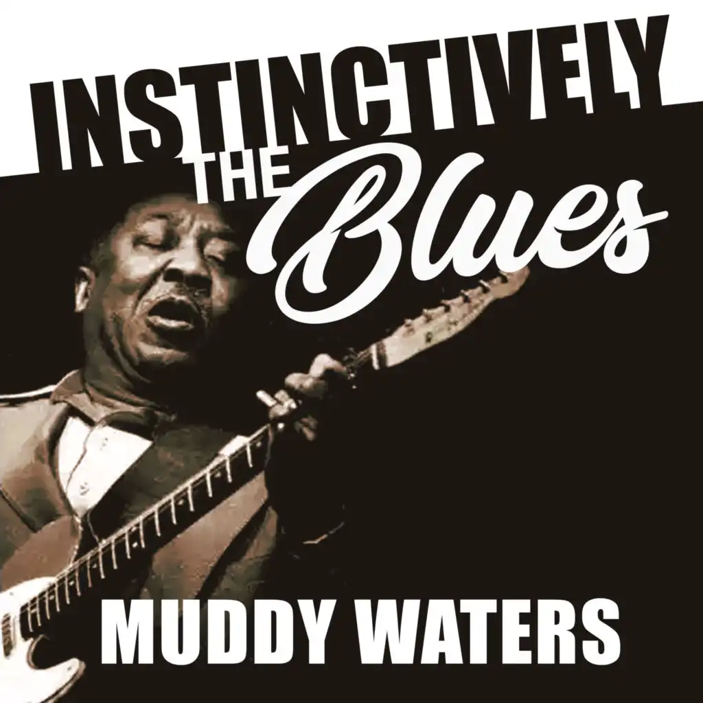 Instinctively the Blues - Muddy Waters