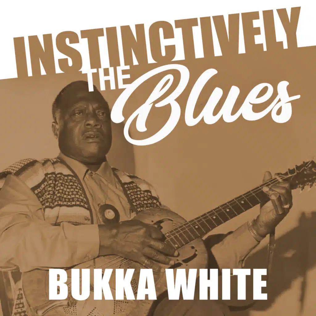 Bukka White Parchman Farm Blues Play on Anghami