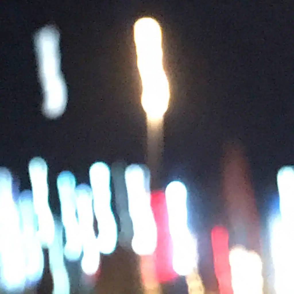 I Took Acid in the Forest