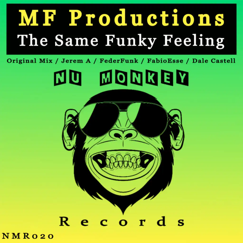 The Same Funky Feeling (FederFunk Remix)