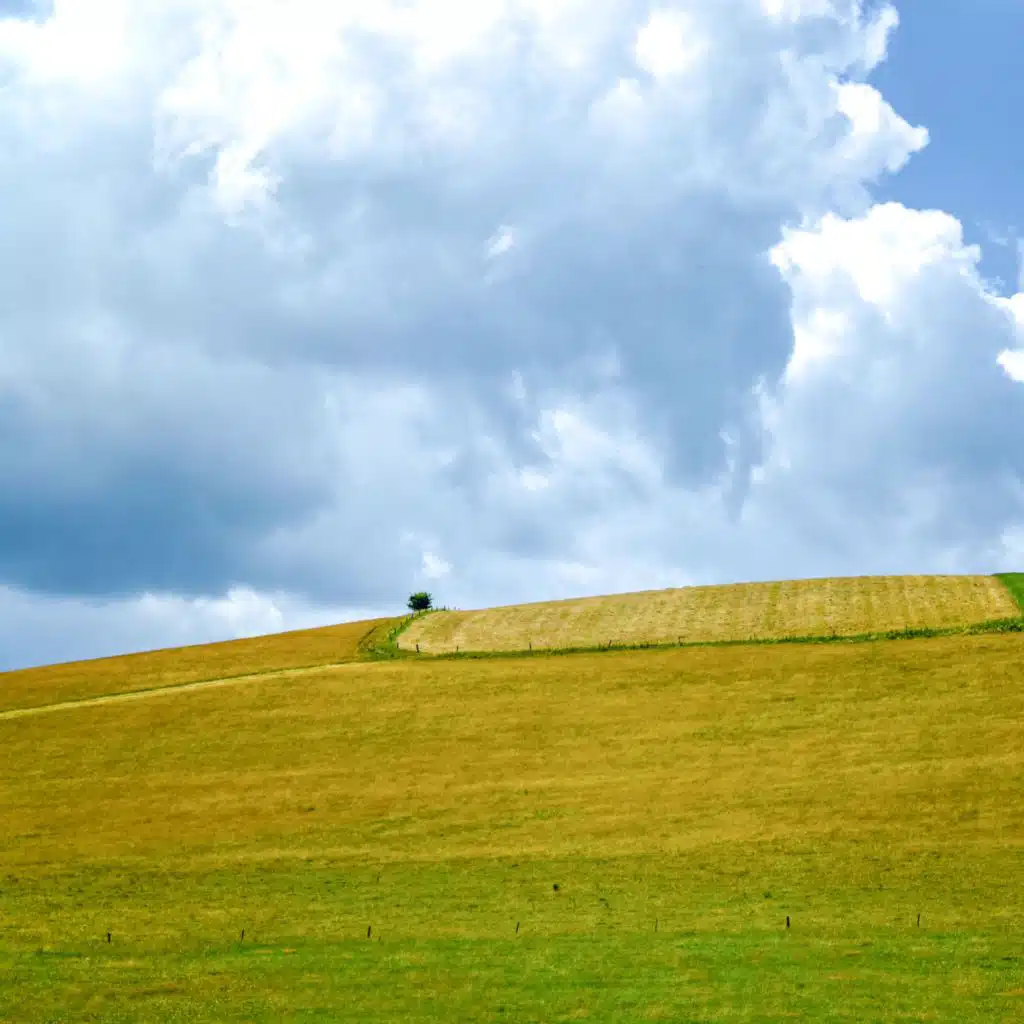 Perfect Complete Serenity