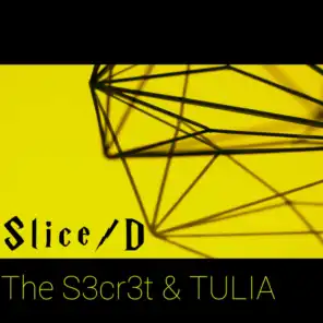 Tulia & The S3cr3t