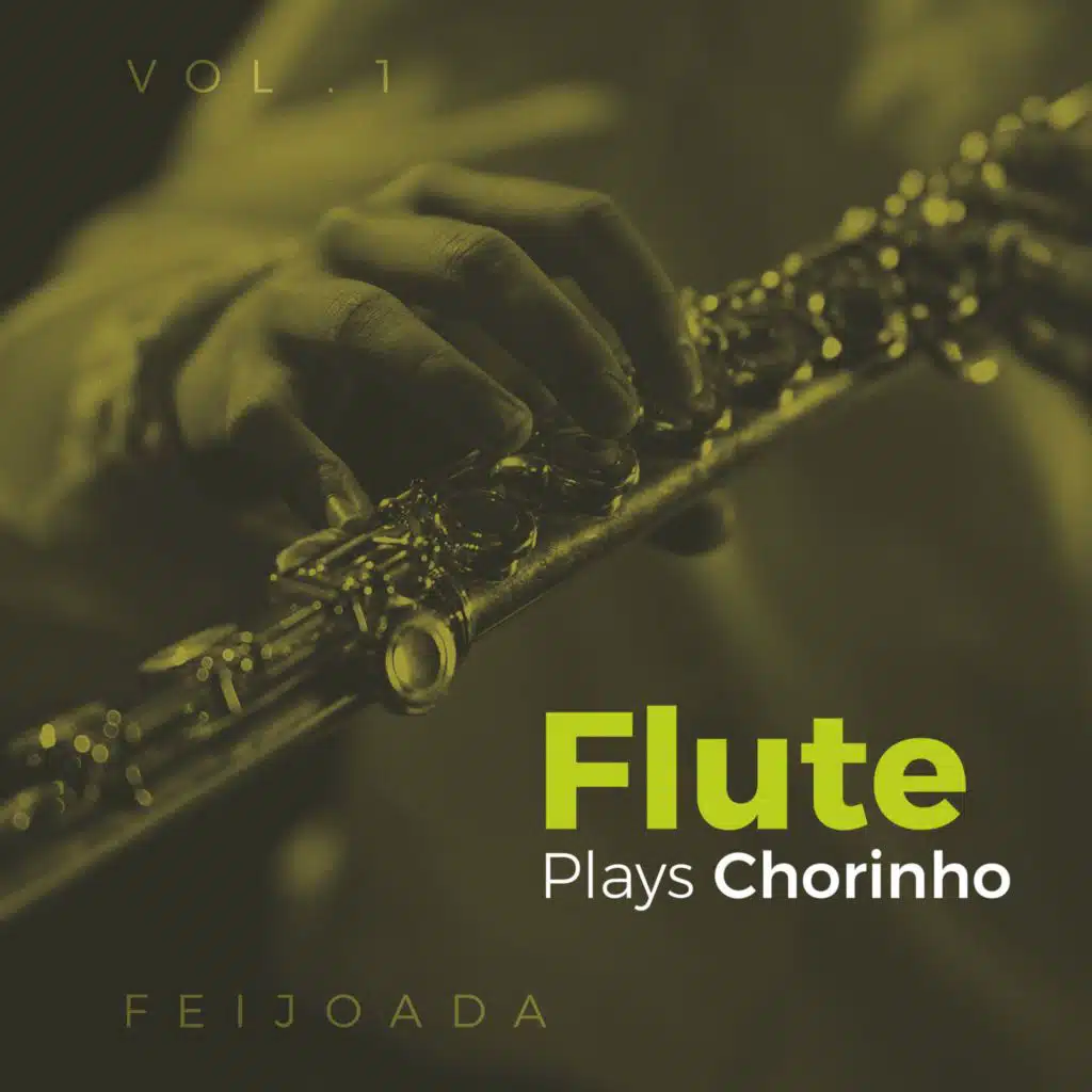 Chorando Baixinho (feat. Ivan Melillo, Bruno Vinci, Getúlio Ribeiro & Tico Macambira)