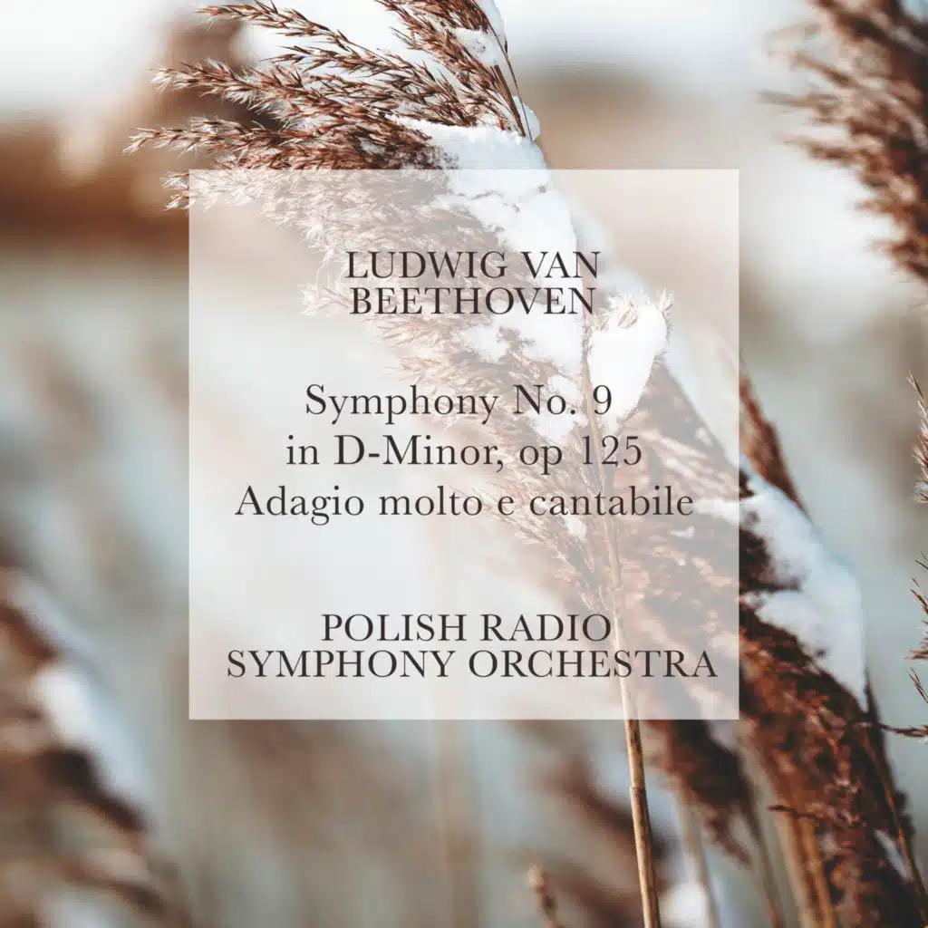 Polish Radio Symphony Orchestra
