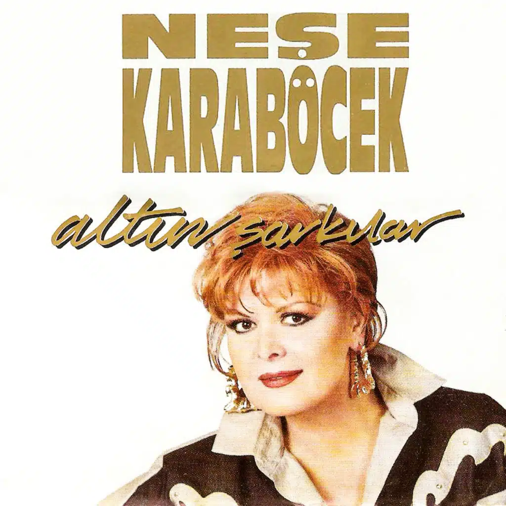 Artık Sevmeyeceğim