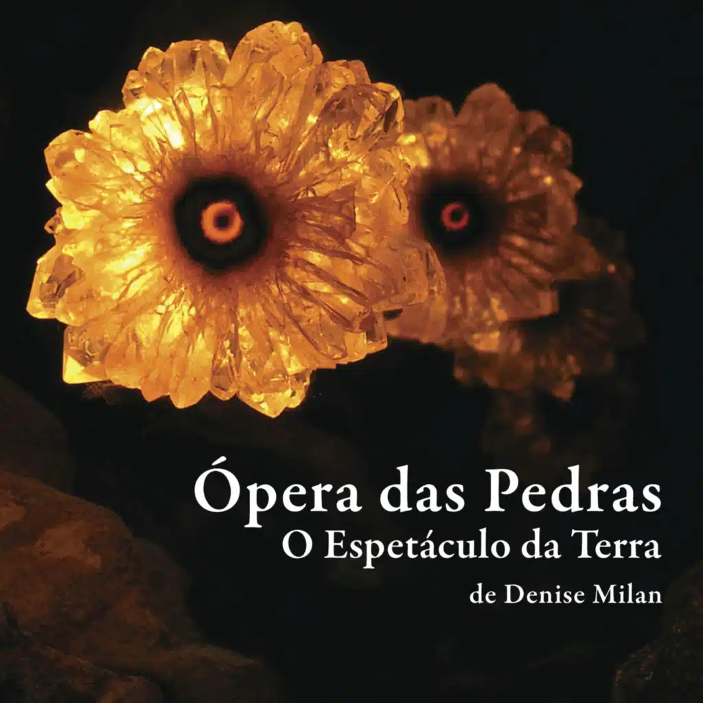 Vidas Ocas (feat. Tiago PInheiro & Ademir Costa)