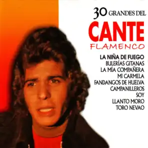 30 Joyas del Flamenco