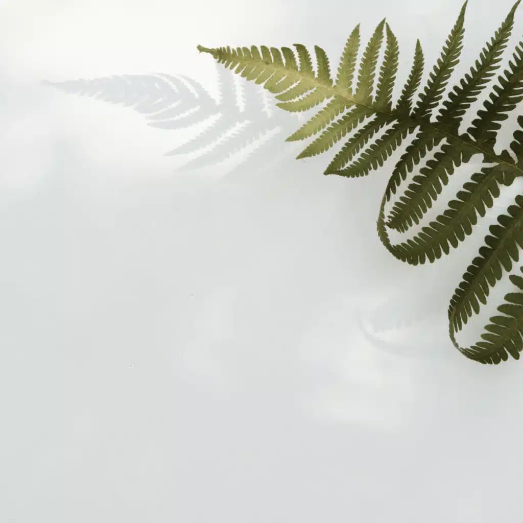 Lulling Sleepy Afternoons | Relaxation and Meditation