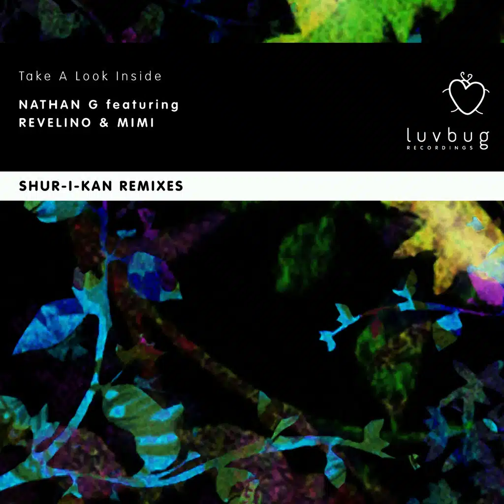 Take a Look Inside Part 2 (Shur-I-kan Remixes)