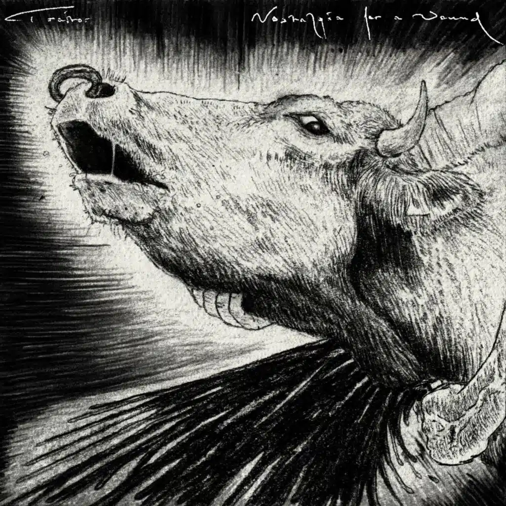 Nostalgia for a Wound