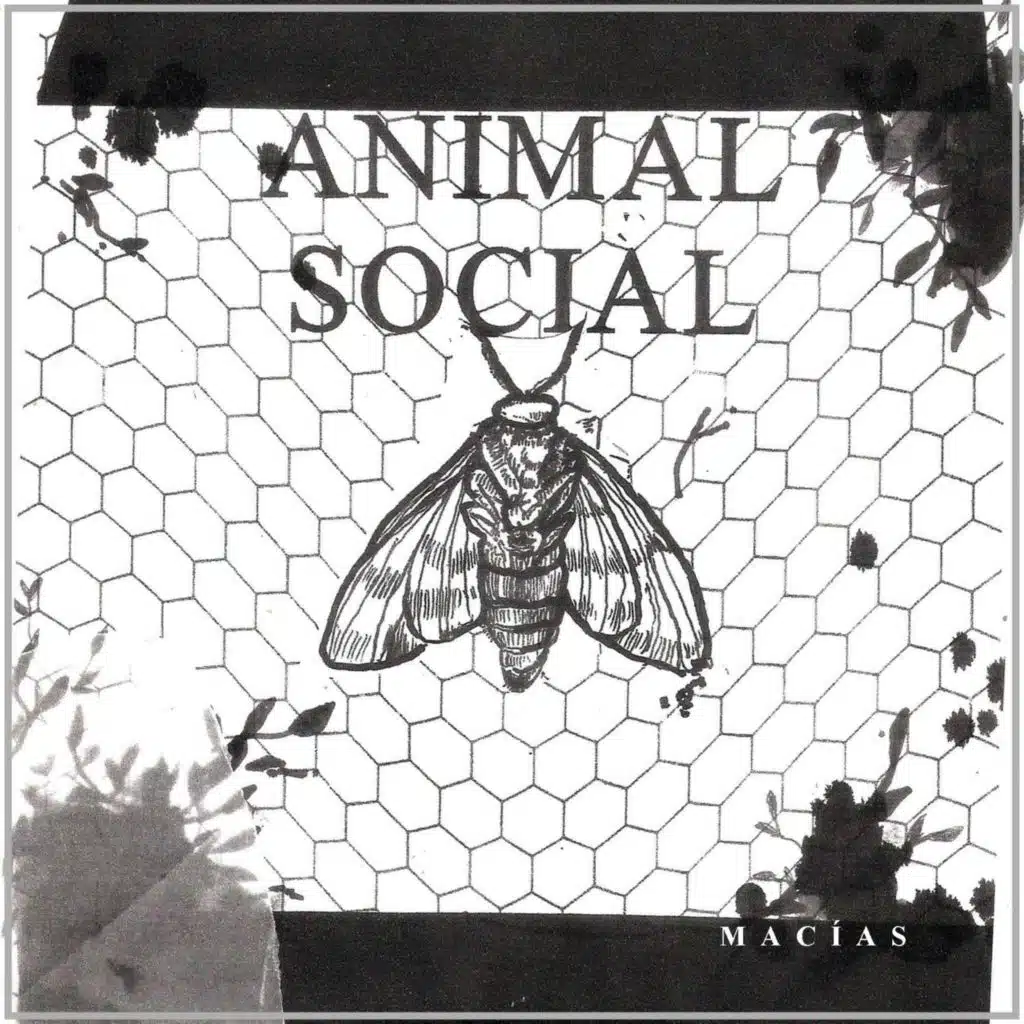 Animal Social