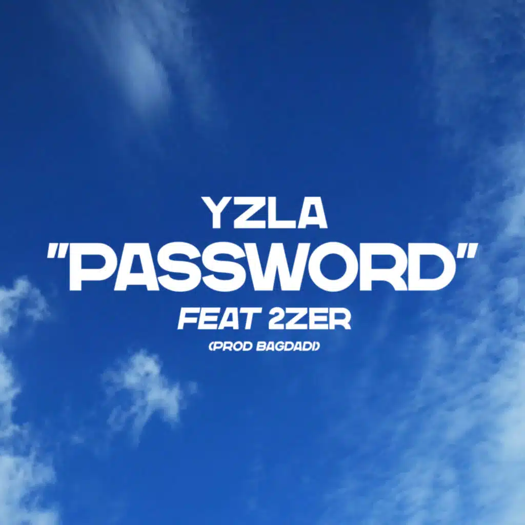 Password (feat. 2zer)