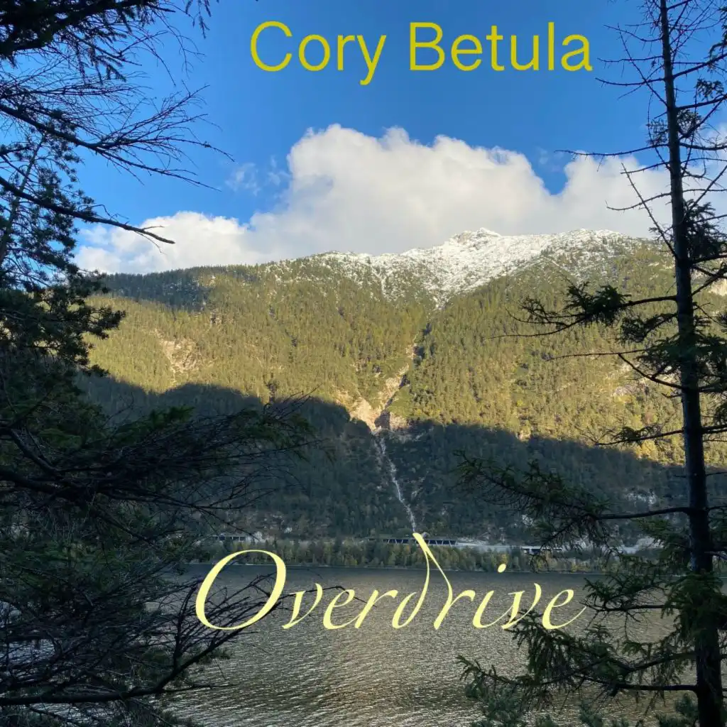 Cory Betula