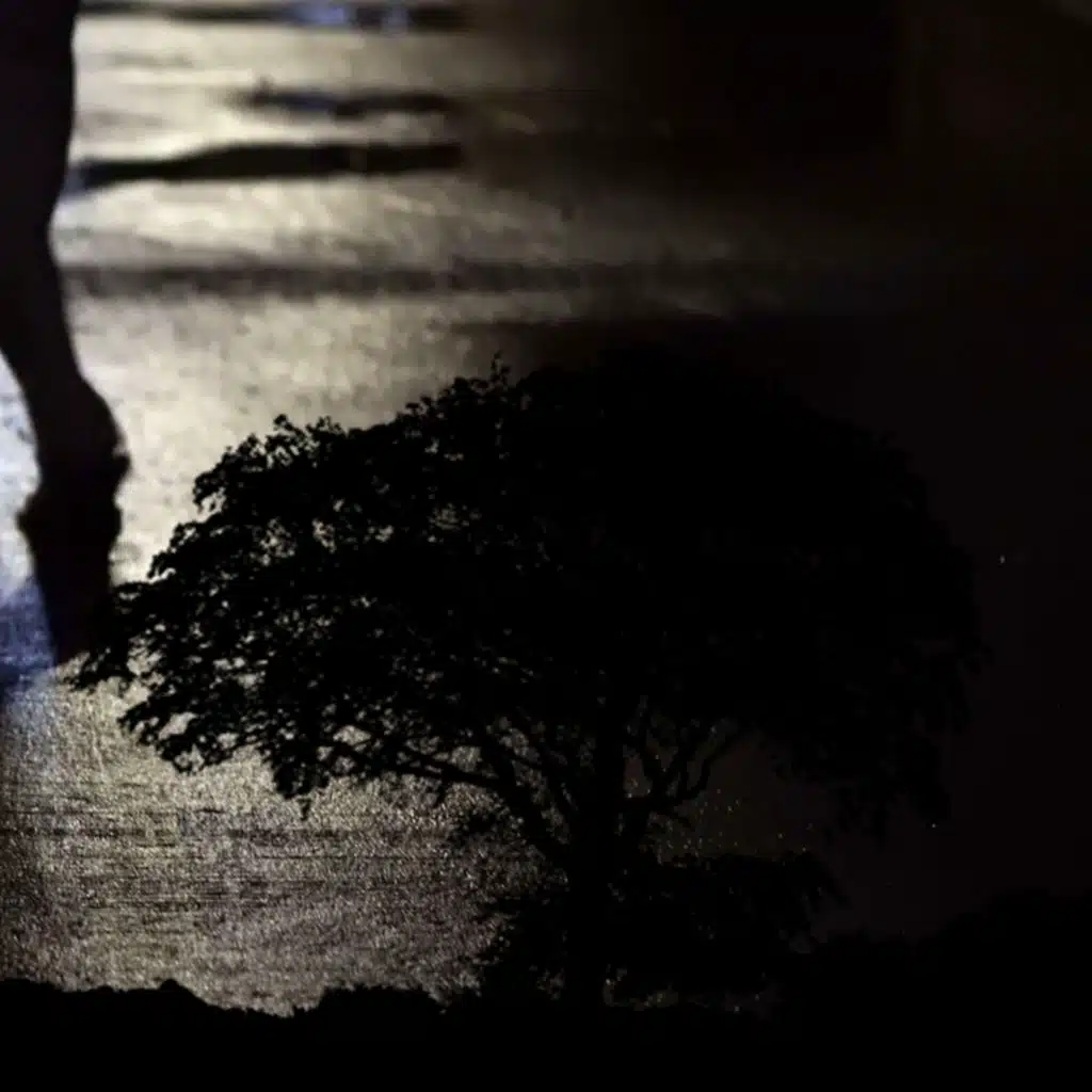 Nici Odata Nu M-Am Plans