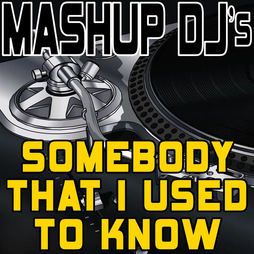 Somebody That I Used to Know (Original Radio Mix) [Re-Mix Tool]