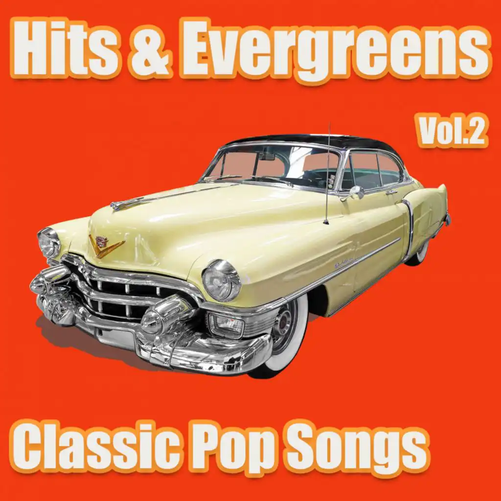 Hits & Evergreens - Classic Pop Songs Vol.2