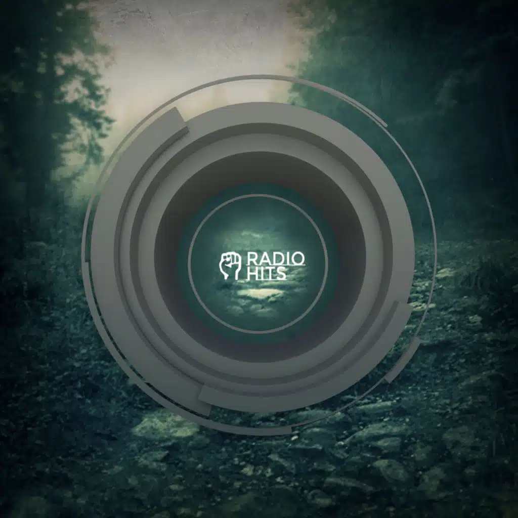 Dust Secret (Aerofeel5 Radio Edit)