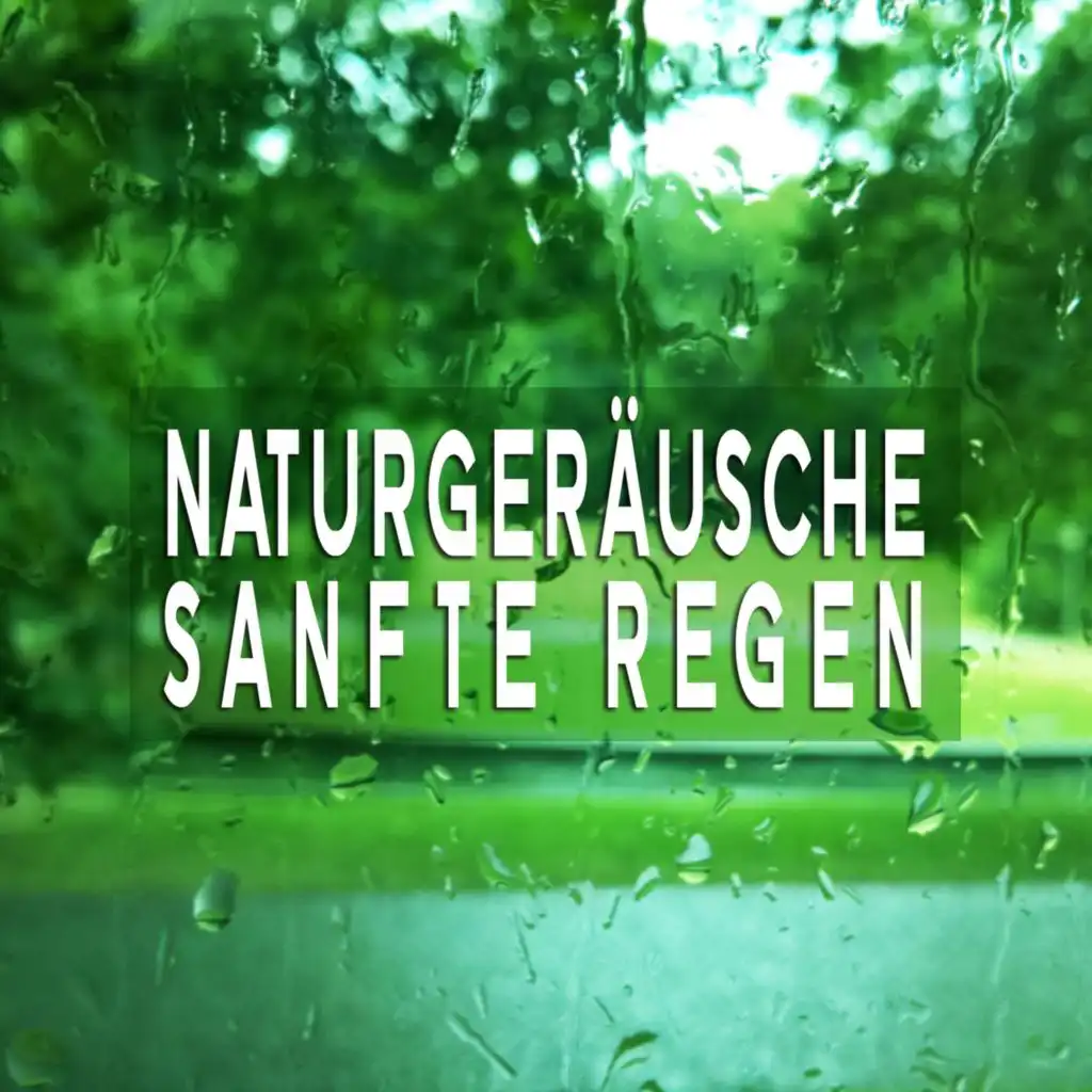 Naturgeräusche: Sanfte Regen, Pt. 36