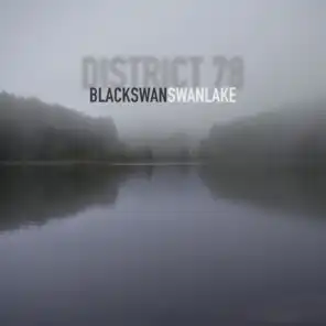 BLACK swan SWAN lake
