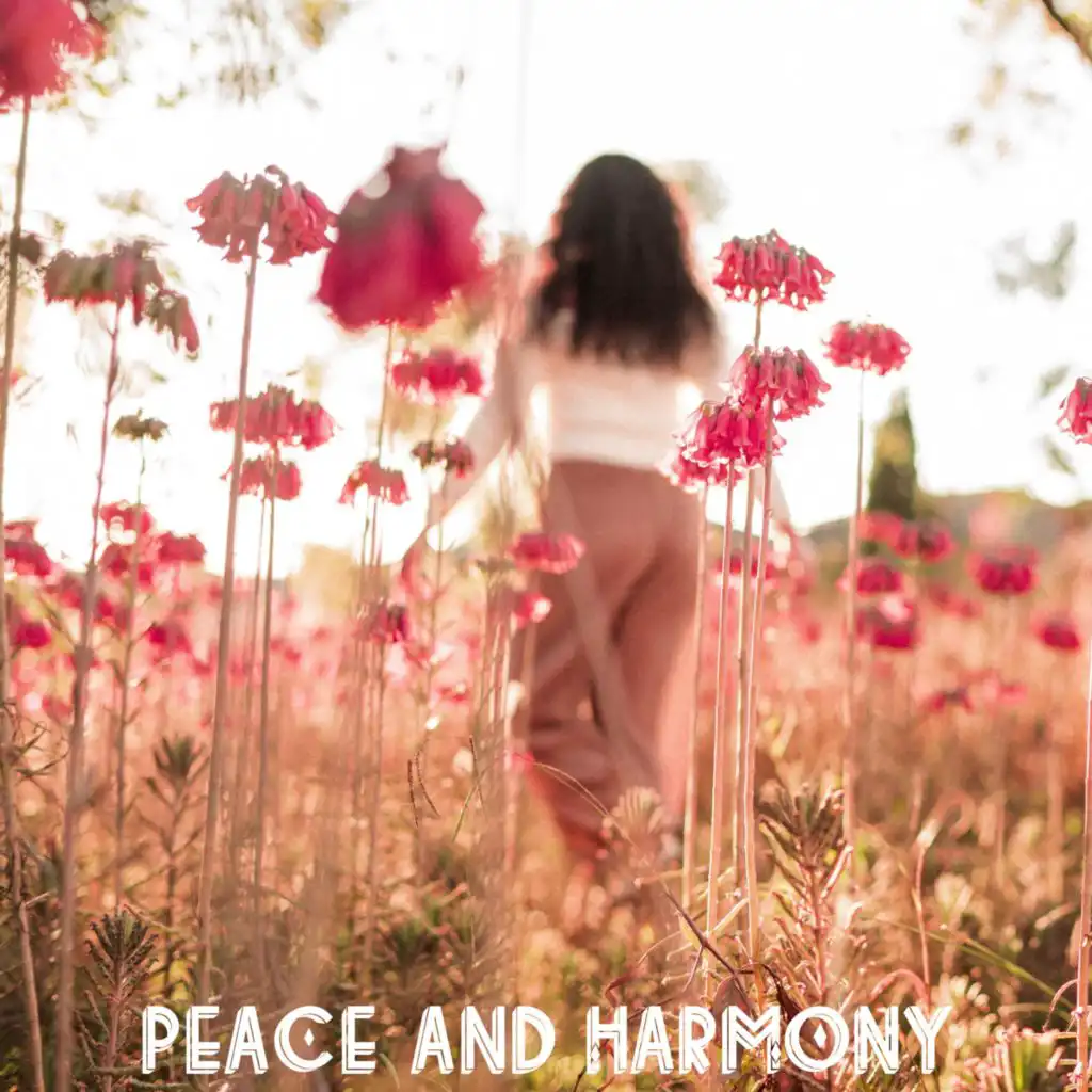 Peace and Harmony