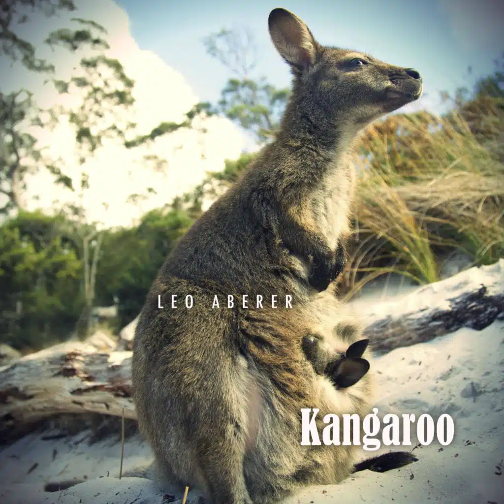 Kangaroo (Radio Edit) [feat. Leo Aberer]