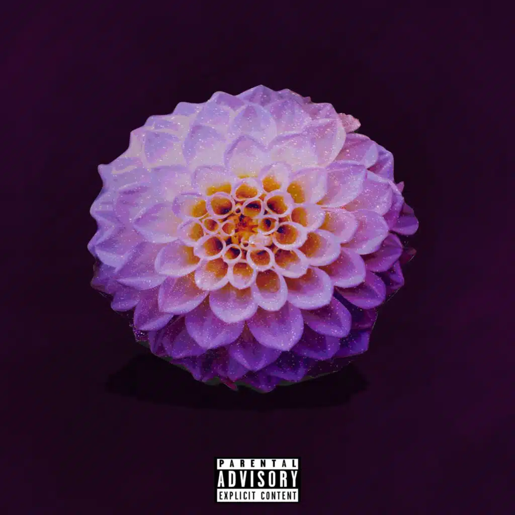 City on Stars / Dahlia