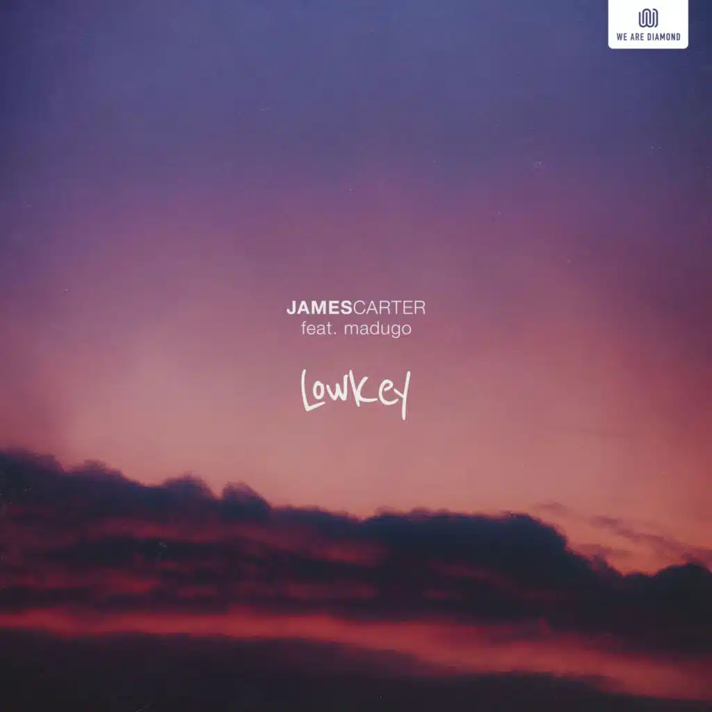 Lowkey (feat. madugo)