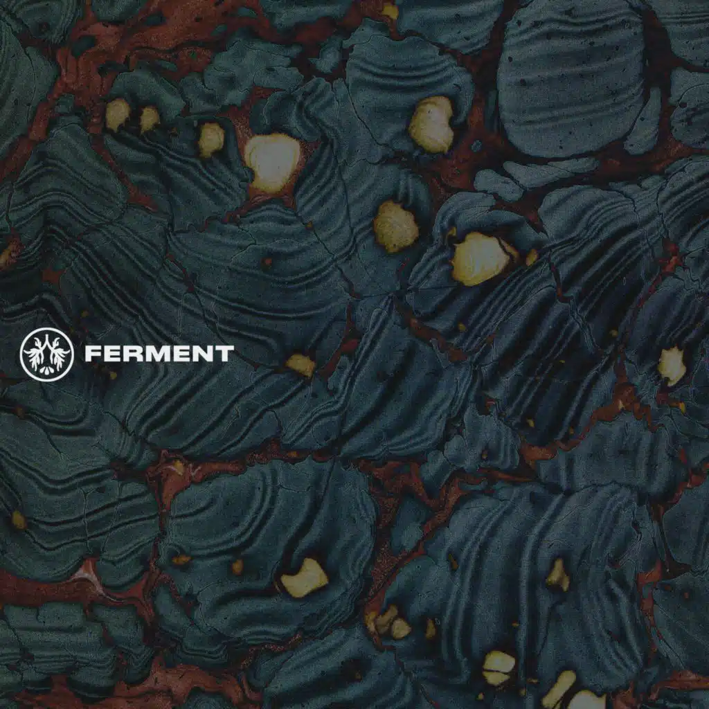 Ferment