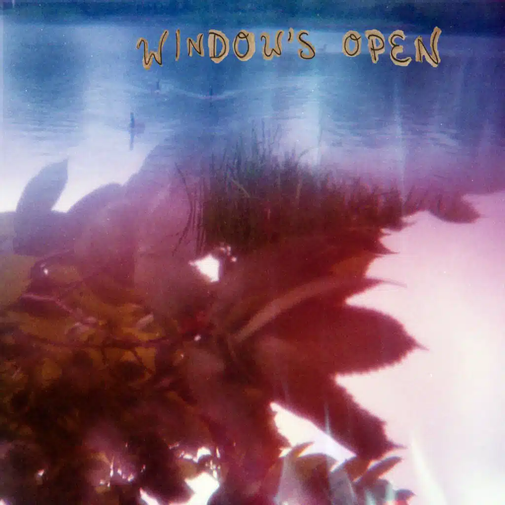 Window's Open