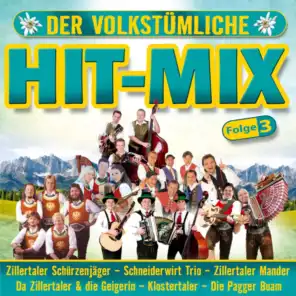 Alphorn & Kuhglocken Mixtur: Der Alphornzauber/Party auf der Alm/I brauch koa Didgeridoo/Alphorngaudi