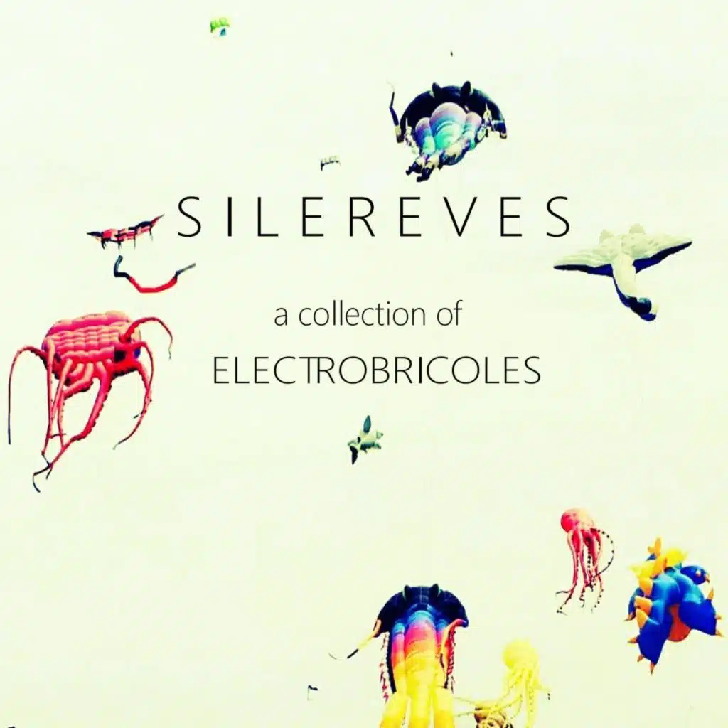 A Collection of Electrobricoles