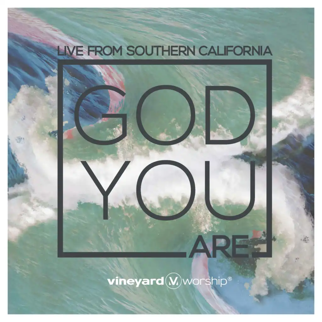 Great Are You Lord (feat. Tim Brown) [Live]