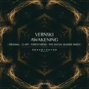 Awakening (The Digital Blonde Remix)