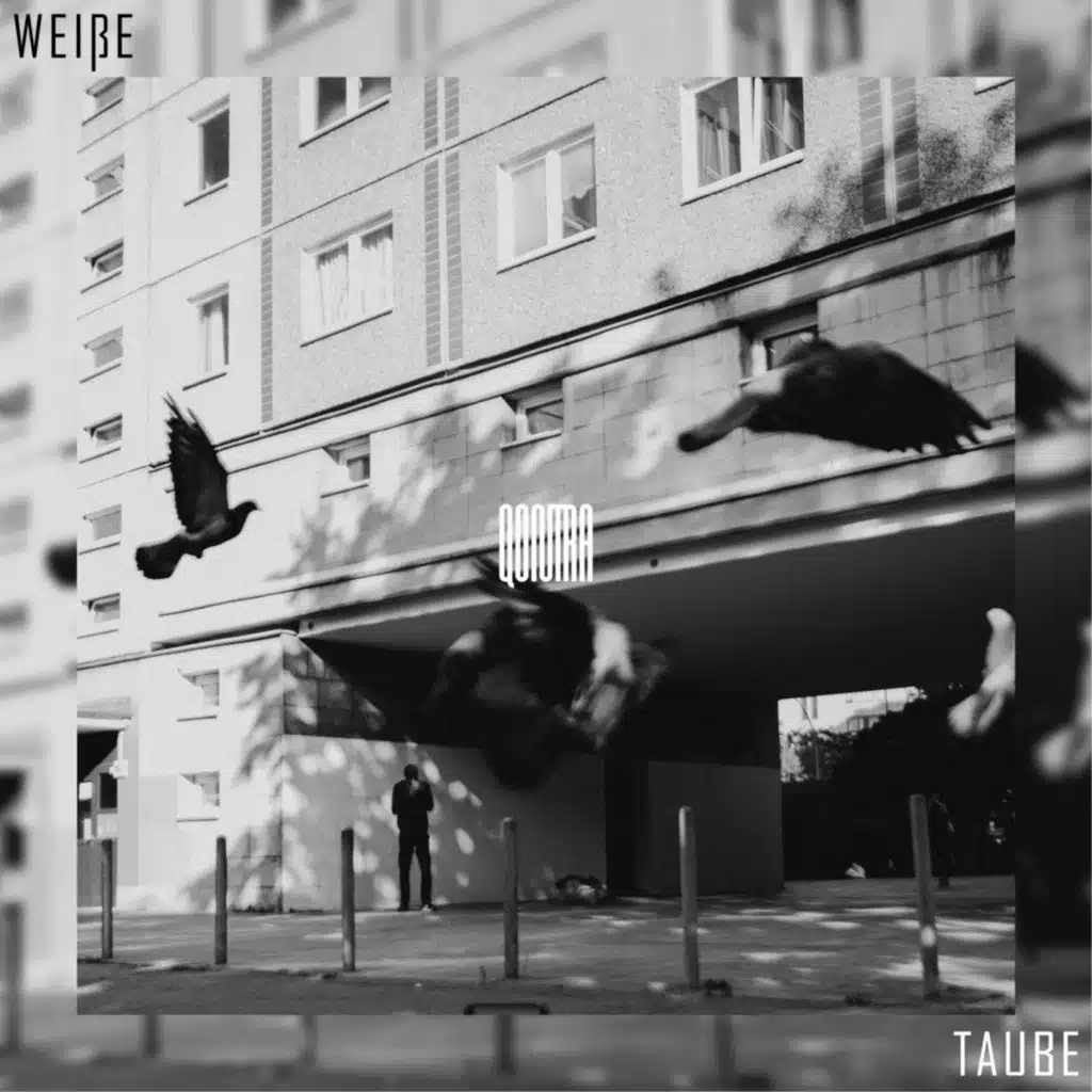 Weiße Taube